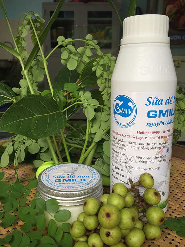 Chai sữa dê tươi thanh trùng GMILK